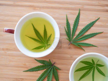 Téléchargez les photos : Fragrant medicinal marijuana leaves are soaked inside white cups in boiling hot water to make refreshing herbal tea. Brewing two cups of therapeutical homegrown indica weed tea. - en image libre de droit
