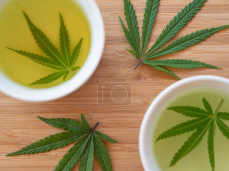Photo for Sativa weed leaves are being used to brew delicious medicinal tea. Fragrant indica marijuana leaf steep in hot water inside of two brown mugs sitting on the wooden countertop - Royalty Free Image