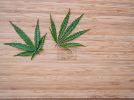 Téléchargez les photos : Homegrown weed leaves sitting on the wood surface. Two sativa marijuana leaves lie on the wooden kitchen countertop. Lush green indica leaves on wooden countertop. - en image libre de droit