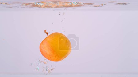 Téléchargez les photos : CLOSE UP, UNDERWATER: Fragrant red and yellow apple falls into the crystal clear fresh water. Cinematic shot of a small homegrown apple falling and splashing into the refreshingly cold fresh water. - en image libre de droit