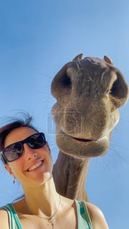 Foto de VERTICAL, CLOSE UP, PORTRAIT: Funny shot of a cheerful young Caucasian woman smiling with her big brown horse. Female horseback rider smiles and laughs into camera with her adorable chestnut stallion - Imagen libre de derechos