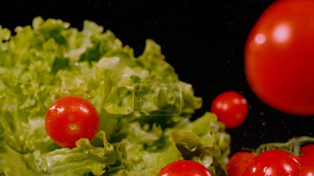 Foto de CLOSE UP, BOKEH: Ripe red tomatoes falling on green lettuce on black background. Flying fresh vegetables with water drops caught in motion. Organic vegetable ready for cooking and preparing meal. - Imagen libre de derechos