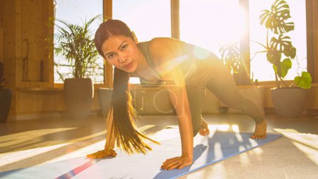 Photo for Asian woman at training workout doing mountain climber exercise for endurance. Young female person strengthening her upper and lower body. Sporty lady during training workout in nice golden light. - Royalty Free Image