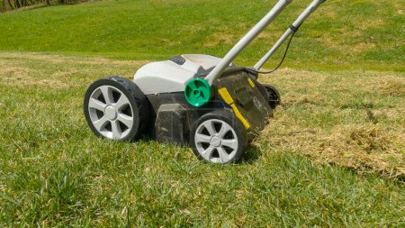 Photo for CLOSE UP: Grass aeration for soil compaction relief and grass growth enhancement. Spring backyard garden work for healthier and thicker lawn. Useful gardening machinery for efficiency at landscaping. - Royalty Free Image
