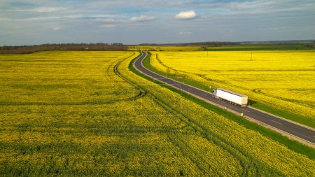 Photo for AERIAL: Cargo truck on a delivery mission moving across flowering farm landscape. Moving truck on an asphalt highway in the middle of yellow rapeseed fields in transit to transport and deliver goods. - Royalty Free Image