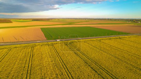 Foto de AERIAL: White car driving along the countryside asphalt road among yellow fields. People travelling with different means of transport through beautiful agricultural landscape in beautiful springtime. - Imagen libre de derechos