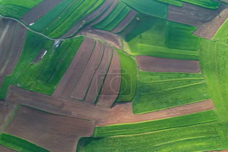 Foto de AERIAL TOP DOWN: Pattern with patches of lush green meadows and farming fields. Beautiful hilly landscape with pattern of green pastures and ploughed fields. Rural landscape bathing in morning light. - Imagen libre de derechos