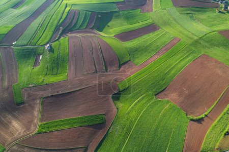 Foto de AERIAL TOP DOWN: Patterned patches of lush green meadows and plowed farm area. Beautiful hilly landscape with pattern of green pastures and ploughed fields. Rural landscape bathing in morning light. - Imagen libre de derechos