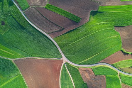 Foto de AERIAL TOP DOWN: Beautiful path surrounded with green meadows and farming fields. Picturesque agricultural landscape with lovely pattern of pastures and plowed fields. Rural countryside on a sunny day - Imagen libre de derechos
