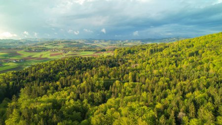 Foto de AERIAL: Stunning sight of green forest trees with cultivated area in background. Beautiful view of rural landscape in springtime. Picturesque countryside bathing in flattering spring sunlight. - Imagen libre de derechos