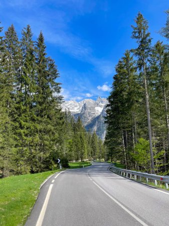 Téléchargez les photos : Paved mountain road winding through spruce forest in the middle of Italian Alps. Picturesque alpine landscape in spring with green conifer trees and high mountain peaks with patches of spring snow. - en image libre de droit