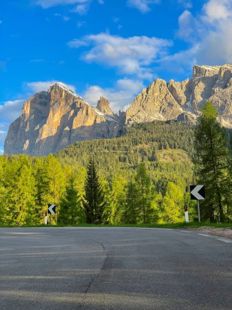 Téléchargez les photos : Mountain pass road with gorgeous mountain backdrop winding through spruce forest. Picturesque alpine landscape in spring with green conifer trees and high mountain peaks with patches of spring snow. - en image libre de droit