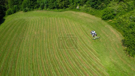 Foto de AERIAL: Farm tractor using hay tedder for speed drying of fresh mown green grass. Modern farming equipment for processing grass for fodder. Summer agricultural activities in picturesque countryside - Imagen libre de derechos