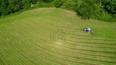 Photo for AERIAL: Tractor on freshly mowed pasture using hay tedder for faster grass drying. Modern farming machinery for more efficient hay preparation. Summer farming activities in the picturesque countryside - Royalty Free Image