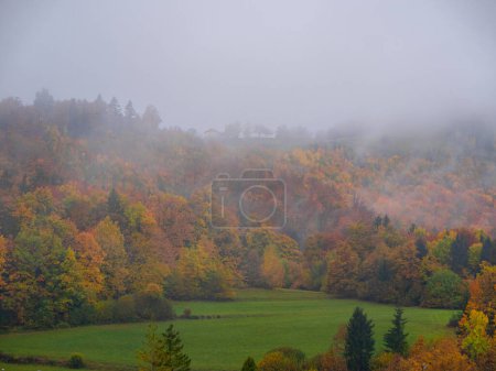 Téléchargez les photos : Beautifully colored autumn landscape with rain mist rising from forest trees. Gorgeous forest foliage in warm color palette of fall season. Warm and vivid shades of autumn spreading across countryside - en image libre de droit