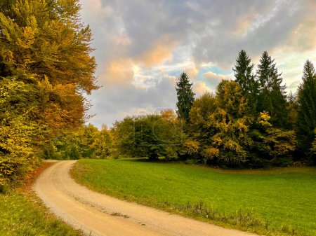 Photo for Macadam path passing beautiful countryside in autumn shades at sunrise light. Winding gravel road for walking through picturesque meadow and woodland areas in amazing vibrant colors of fall season. - Royalty Free Image