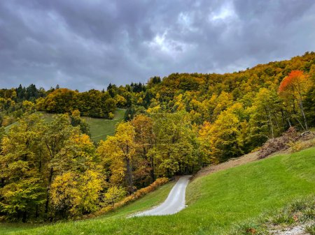 Photo for Picturesque countryside with green meadows and colorful autumn forest trees. Winding gravel path leading through hilly landscape in vibrant shades of fall season. Beautiful rural area in autumn colors - Royalty Free Image