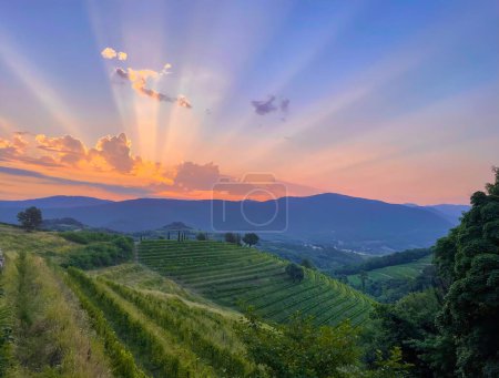 Téléchargez les photos : Stunning play of sun rays spilling across sky and beautiful vineyard landscape. Breath-taking landscape with hills full of grapevines in autumn sunset. Gorgeous glimpse of eye-catching wine country. - en image libre de droit