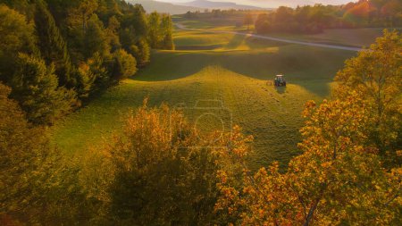 Foto de AERIAL: View of tractor turning mowed hay in golden light above autumn trees. Farmer using hay tedder to aerate grass and speed up drying. Preparing fodder for cows as mandatory farm task in fall. - Imagen libre de derechos
