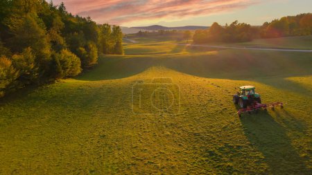 Photo for AERIAL: Beautiful autumn morning light and rear view of tractor turning mowed hay. Farmer aerating grass to speed up drying as part of haymaking process. Raking and tedding hay in beautiful light. - Royalty Free Image