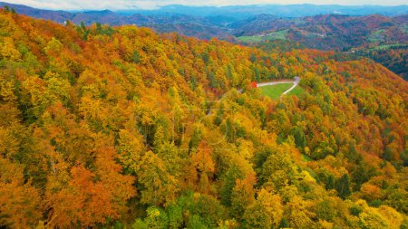 Foto de View of woodland area in magnificent golden yellow autumn color palette. Flying above lush forest treetops in gorgeous golden colours of autumn. Fall season spreading across hilly countryside. - Imagen libre de derechos