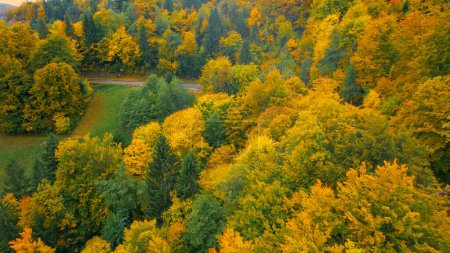 Foto de Beautiful view of forest area in gorgeous golden yellow autumn shades. Hilly countryside in magnificent autumn colours. Changing leaves of deciduous trees in colorful fall season shades. - Imagen libre de derechos
