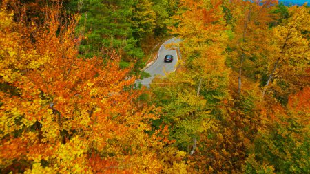 Téléchargez les photos : Colorful autumn forest trees revealing asphalt road and a car driving by. Woodland in colorful shades of fall season with road hiding under treetops. Autumn spreading across hilly countryside. - en image libre de droit