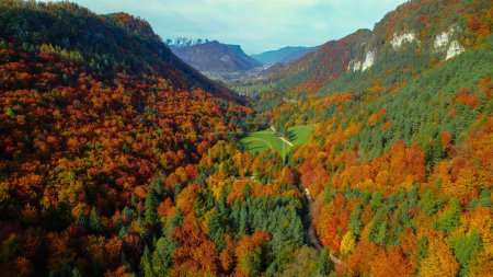 Téléchargez les photos : Stunning view of valley caught between mountains in vivid autumn colors. View of picturesque alpine landscape in beautiful color palette of fall season. Colorful foliage in the wild forest. - en image libre de droit