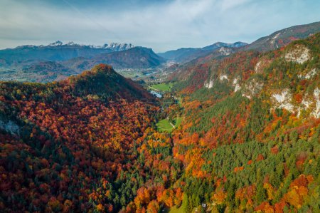 Téléchargez les photos : Beautiful view of alpine valley between mountains in vivid autumn shades. View of picturesque alpine landscape in beautiful color palette of fall season. Colorful foliage in the wild forest. - en image libre de droit