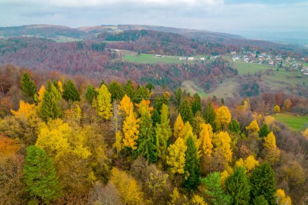 Téléchargez les photos : Picturesque view of colorful forest trees above valley in autumn season. Magnificent autumn palette spreading across countryside. Hilly country covered with woods in shades of fall season. - en image libre de droit