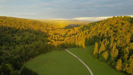 Téléchargez les photos : Beautiful hilly wooded countryside bathing in late afternoon autumn sun. Picturesque landscape with forested hills in warm shades of fall season. Gorgeous woodland area in golden light. - en image libre de droit