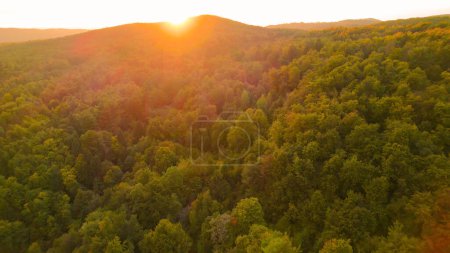 Foto de Morning sun rising behind gorgeous hilly countryside with lush forest. Picturesque countryside with forested hills in warm shades of fall season. Gorgeous woodland area in lovely golden light - Imagen libre de derechos