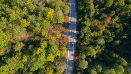 Foto de Forest in early autumn colors and car driving on winding road. Stunning countryside paved road leading through hilly forested landscape offering a picturesque drive in fall season. - Imagen libre de derechos