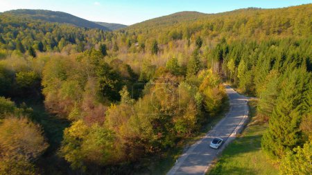 Téléchargez les photos : Amazing view of vast forest landscape and winding road with driving car. Stunning countryside paved road leading through hilly forested landscape offering a picturesque drive in fall season. - en image libre de droit
