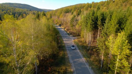 Téléchargez les photos : Car driving along paved road leading through forest in early fall colors. Beautiful countryside road in the embrace of hilly forested landscape offering a picturesque drive in autumn season. - en image libre de droit