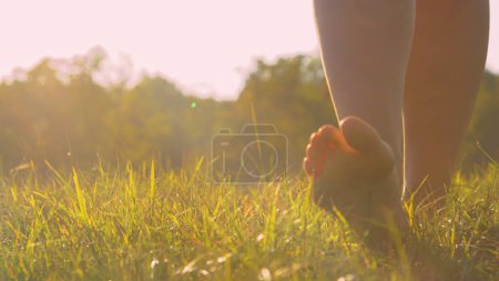 Téléchargez les photos : FERMER, FAIBLE ANGLE : Jeune femme pieds nus marchant sur l'herbe verte dans la lumière dorée. Moment sans soucis et relaxant dans la nature par une belle matinée ensoleillée. Femme qui arpente la prairie les pieds nus. - en image libre de droit