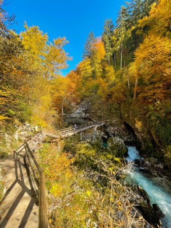 Photo for Picturesque travel destination with tourist trail and river in the Vintgar gorge. Autumn leaves falling into deep canyon carved by river. Beautiful sightseeing location between steep rocky slopes. - Royalty Free Image
