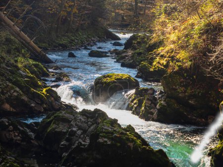 Téléchargez les photos : Scenic view of beautiful Vintgar canyon with Radovna river in autumn season. Warm sunlight gently touching mossy rocks and wild water on bottom of Vintgar gorge. Beautiful nature in fall season. - en image libre de droit