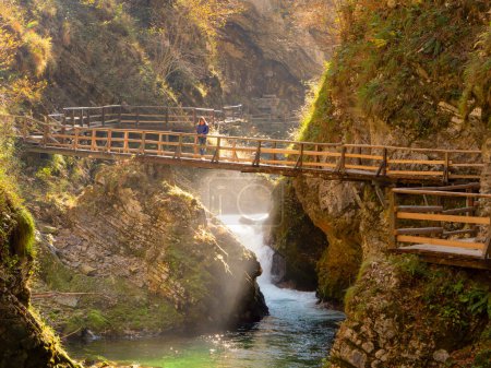 Woman crossing wooden bridge over Radovna river in amazing Vintgar Gorge in fall. Stunning color palette of autumn foliage above green river. Breath-taking autumn tourist destination in deep canyon.