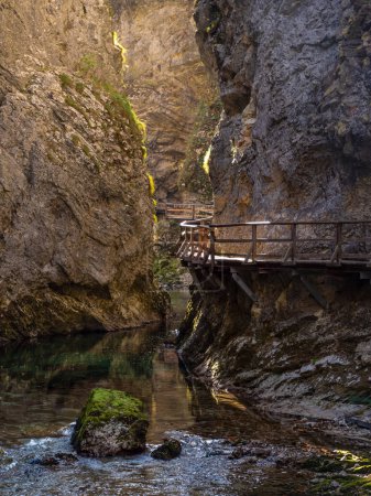 Téléchargez les photos : Vue imprenable sur le pittoresque canyon du Vintgar avec rivière et sentier en bois. Superbe palette de couleurs de feuillage d'automne au-dessus de la rivière verte. Bel emplacement touristique entre des pentes rocheuses escarpées. - en image libre de droit