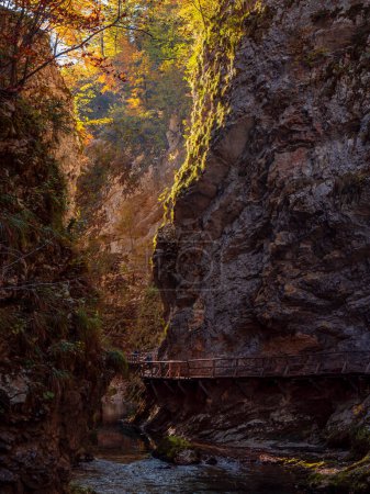 Photo for Stunning view of picturesque Vintgar Gorge with flowing river and wooden trail. Gorgeous color palette of autumn foliage above green river. Beautiful sightseeing location between steep rocky slopes. - Royalty Free Image