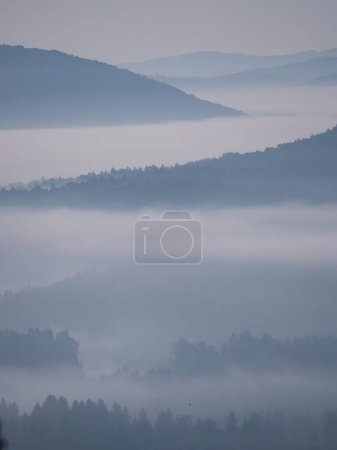 Téléchargez les photos : Rugged hilly countryside shrouded in thick layer of fog on early autumn morning. Serene and beautiful landscape covered with morning haze. Silhouette layers of hillsides and forest at foggy scenery. - en image libre de droit
