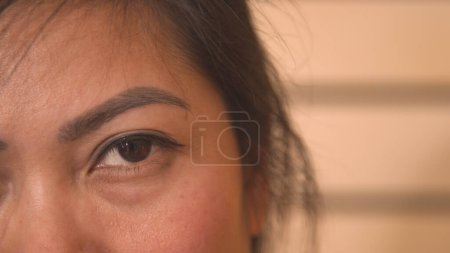 Téléchargez les photos : Detailed look at the beautiful brown eye of a Filipina. Attractive Asian woman posing and looking directly towards camera. Beauty shot of a young lady's mesmerizing brown eye. - en image libre de droit