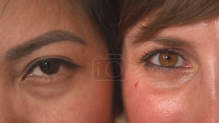 Foto de Detailed view of two young women's brown eyes side by side. Attractive Asian and Caucasian woman looking directly towards camera. Beauty shot of a young ladies' mesmerizing eyes. - Imagen libre de derechos