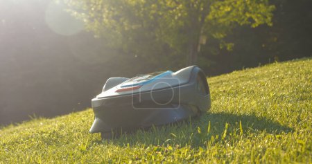 Téléchargez les photos : Robotic lawn mower cutting green grass on sloping terrain in garden. Automatic lawn robot, illuminated by golden sunlight, cutting green turf in backyard. Futuristic garden robot at work. - en image libre de droit