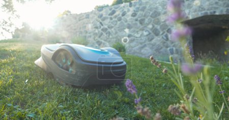 Foto de Modern lawnmower working autonomously while cutting sloping grassland. Automated robotic lawn mower trimming green turf in garden on a sunny day. Futuristic gardening machinery at mowing. - Imagen libre de derechos
