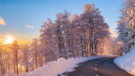 Téléchargez les photos : Beautiful day for drive through hilly landscape covered with freshly fallen snow. Wonderful winter day after snowstorm. Fairy-tale forest and valley views while driving along winding mountain road. - en image libre de droit