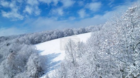 Téléchargez les photos : Beautiful woodland area and meadows covered with freshly fallen snow. Magical winter fairy tale in hilly forest. Picturesque countryside hiding under white blanket of snow on sunny winter day. - en image libre de droit