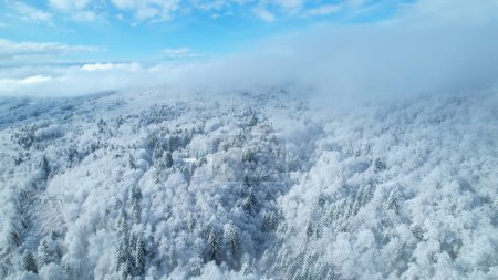 Téléchargez les photos : Winter haze moving across hilly landscape with forest after fresh snow. Beautiful view above magical winter fairy tale with lush treetops hiding under white blanket of snow on a cloudy day. - en image libre de droit