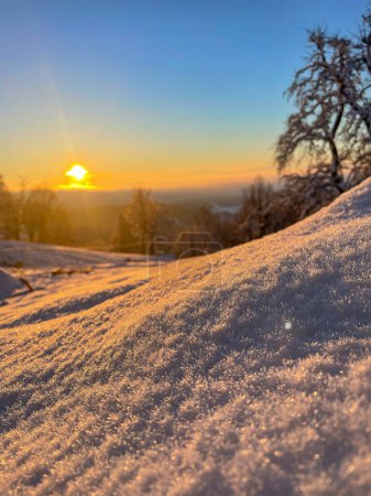 Foto de Freshly fallen snowflakes that glisten under first rays of morning winter sun. Ice crystals on the snow surface glisten in the golden light. Snow-covered countryside in the embrace of cold season. - Imagen libre de derechos